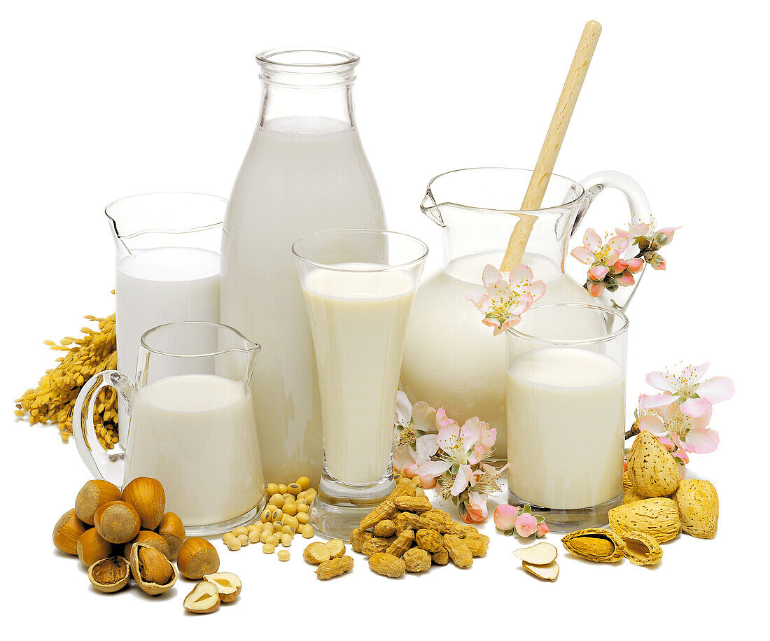 Milch in Kannen und Gläsern mit verschiedenen Nüssen