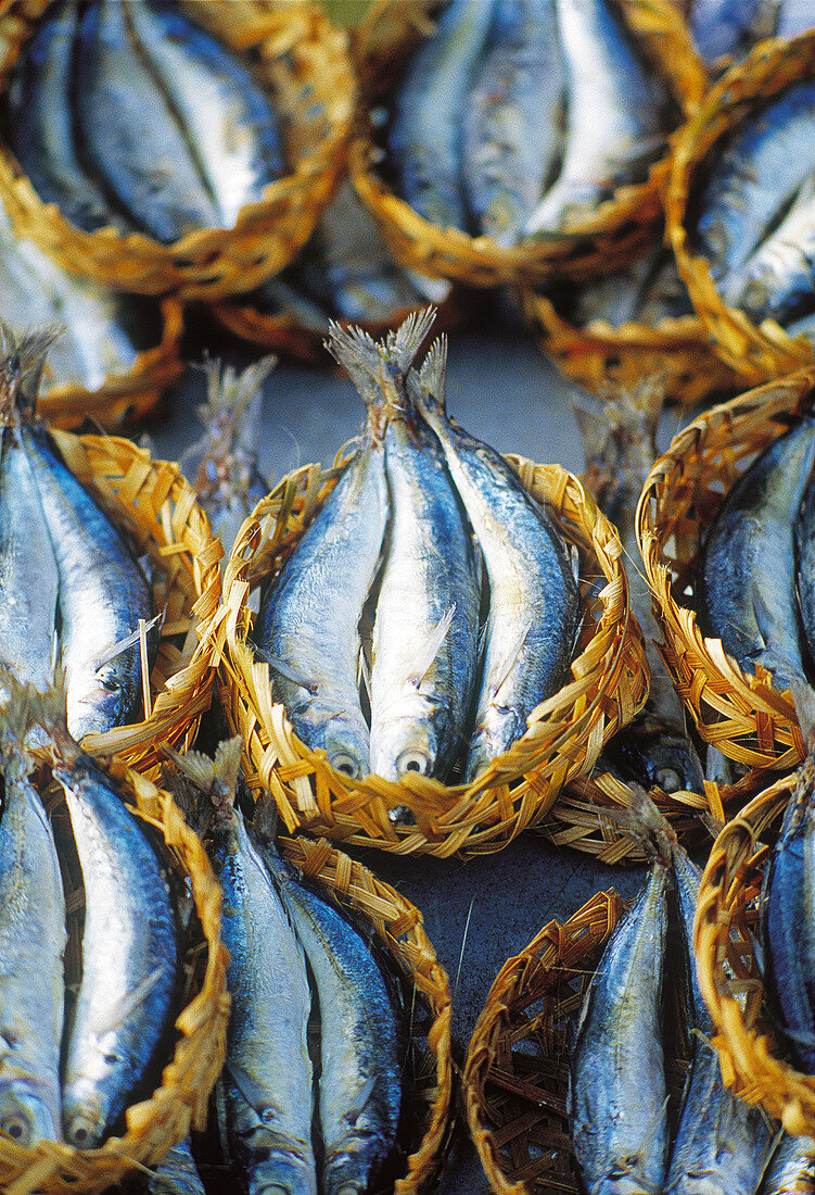 Viele kleine geflochtene Körbchen mit frischen Sardinen