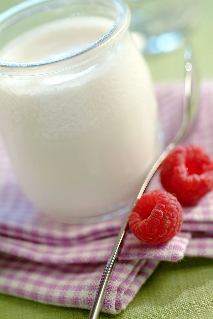 Glasbecher Naturjoghurt, daneben Löffel und Himbeeren