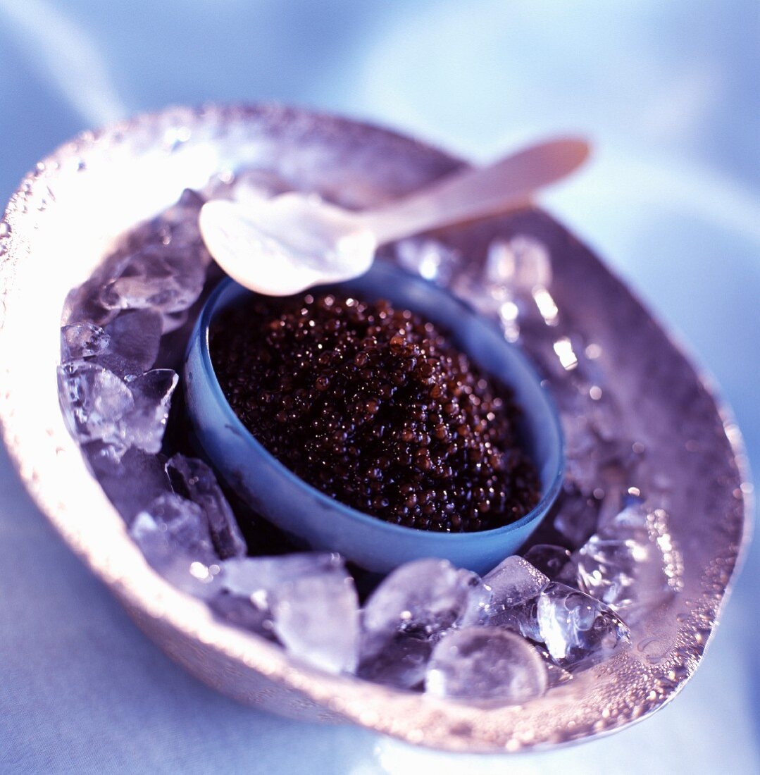 Kaviar mit Perlmuttlöffel auf Eis