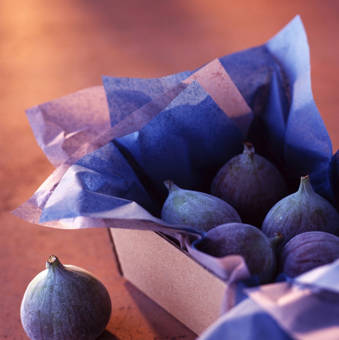 Blaue Feigen in Schachtel mit Seidenpapier