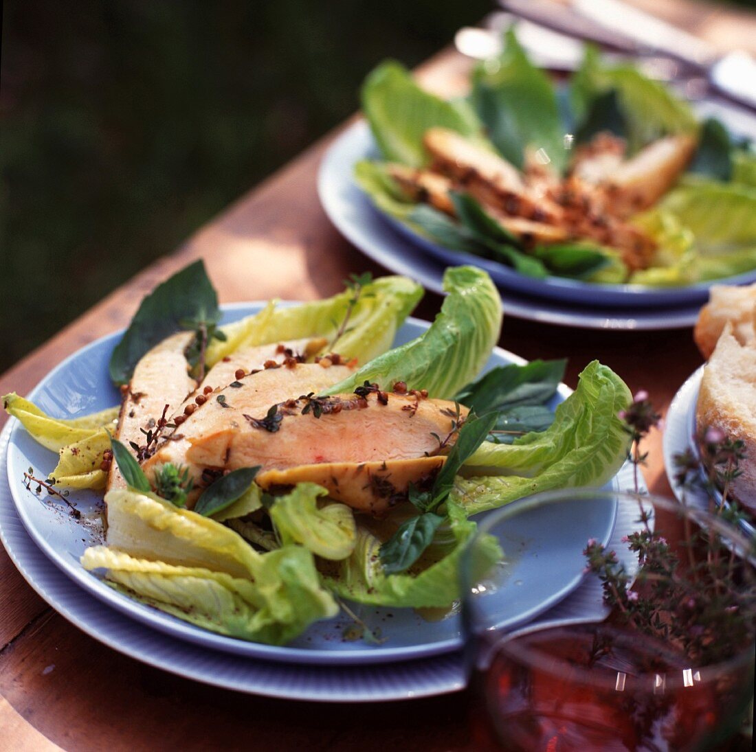 Cos lettuce with marinated chicken