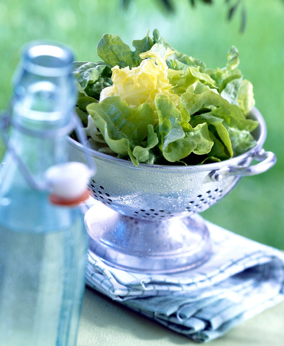 Grüner Salat im Abtropfsieb, Wasserflasche im Vordergrund