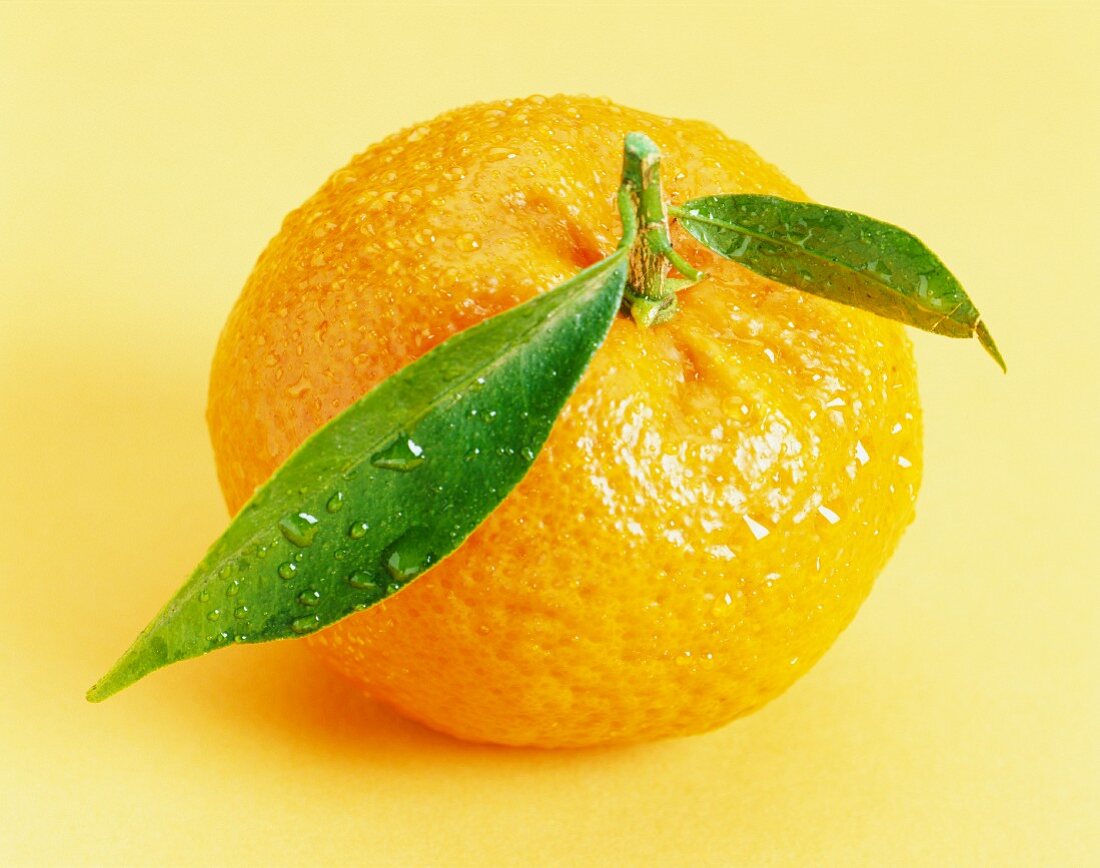 mandarine with leaves