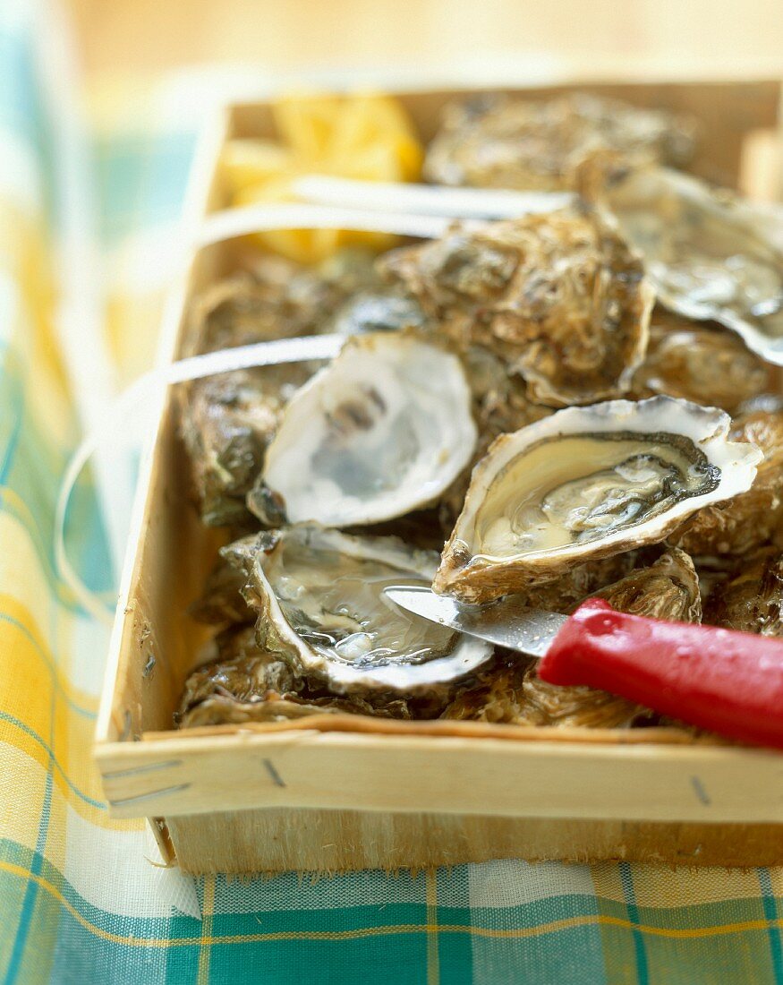 crate of oysters