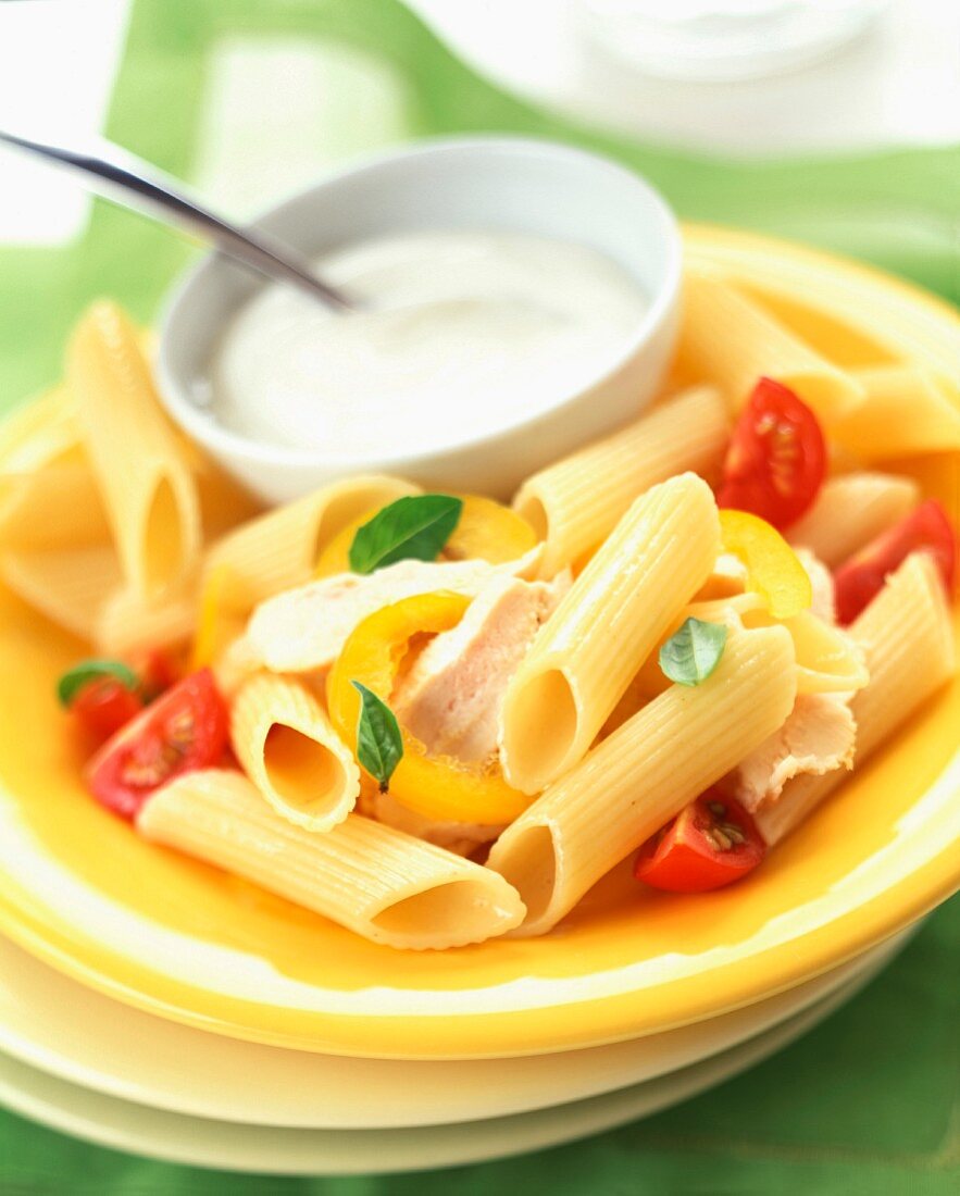 Penne pasta with chicken and white sauce