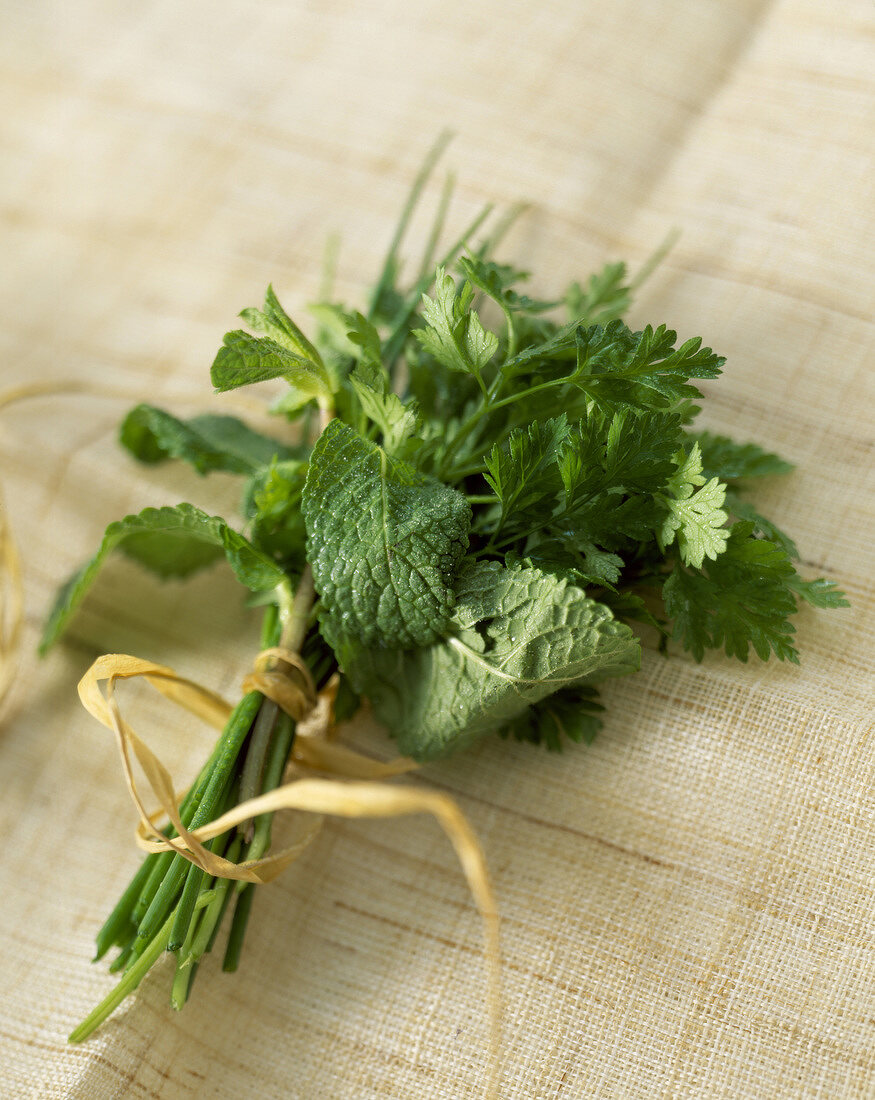 Bunch of mint, coriander and chives