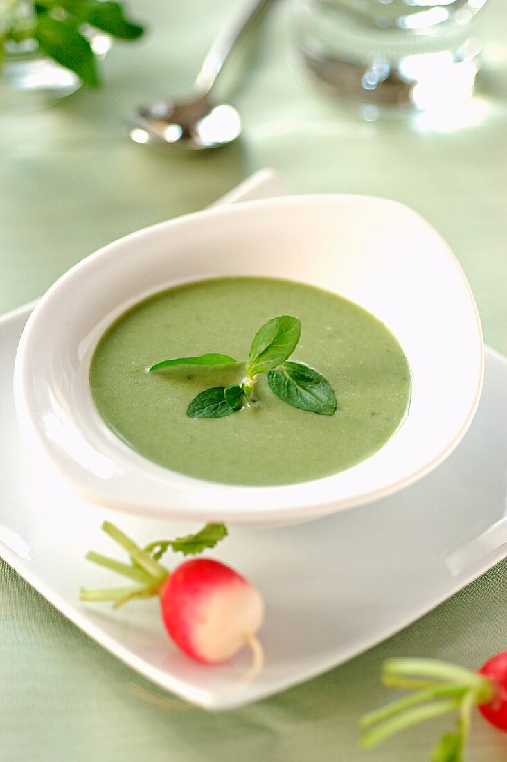 Chilled creamed radish top soup