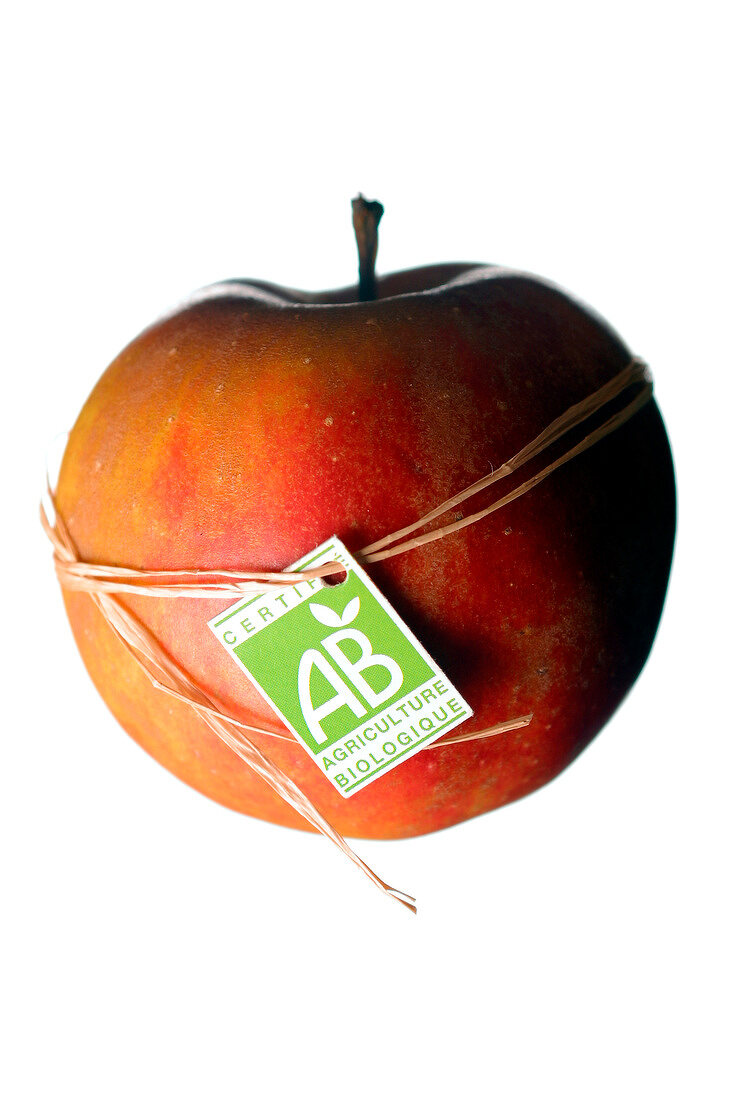 organic royal gala apple