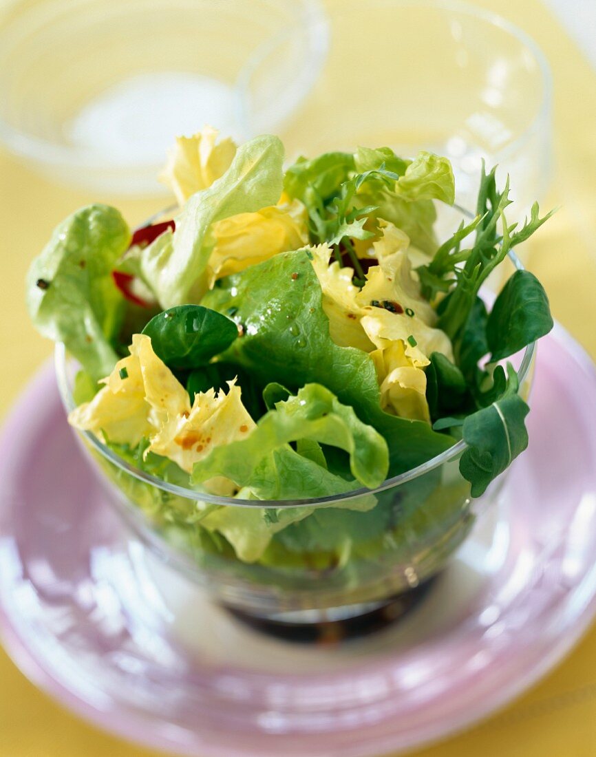 Mixed green lettuce salad