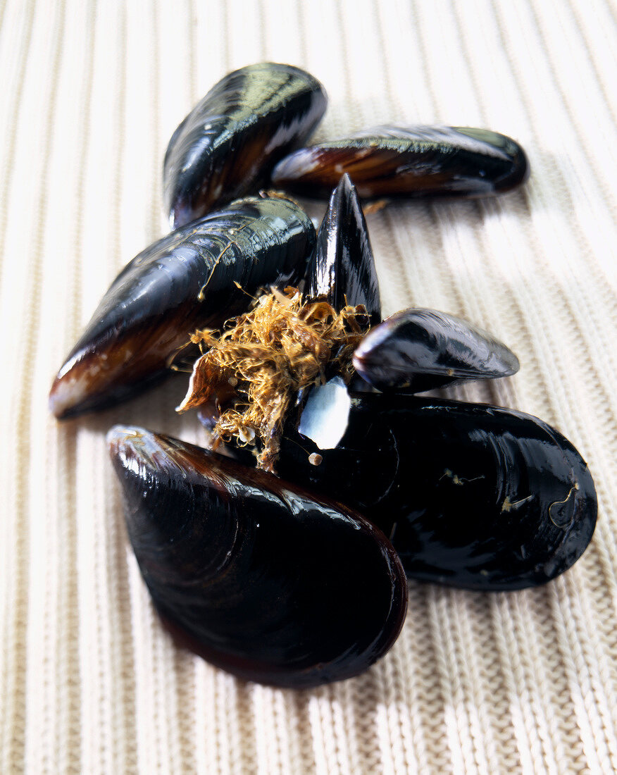 Fresh mussels