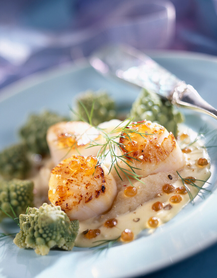 Pan-fried scallops with romanesco cabbage