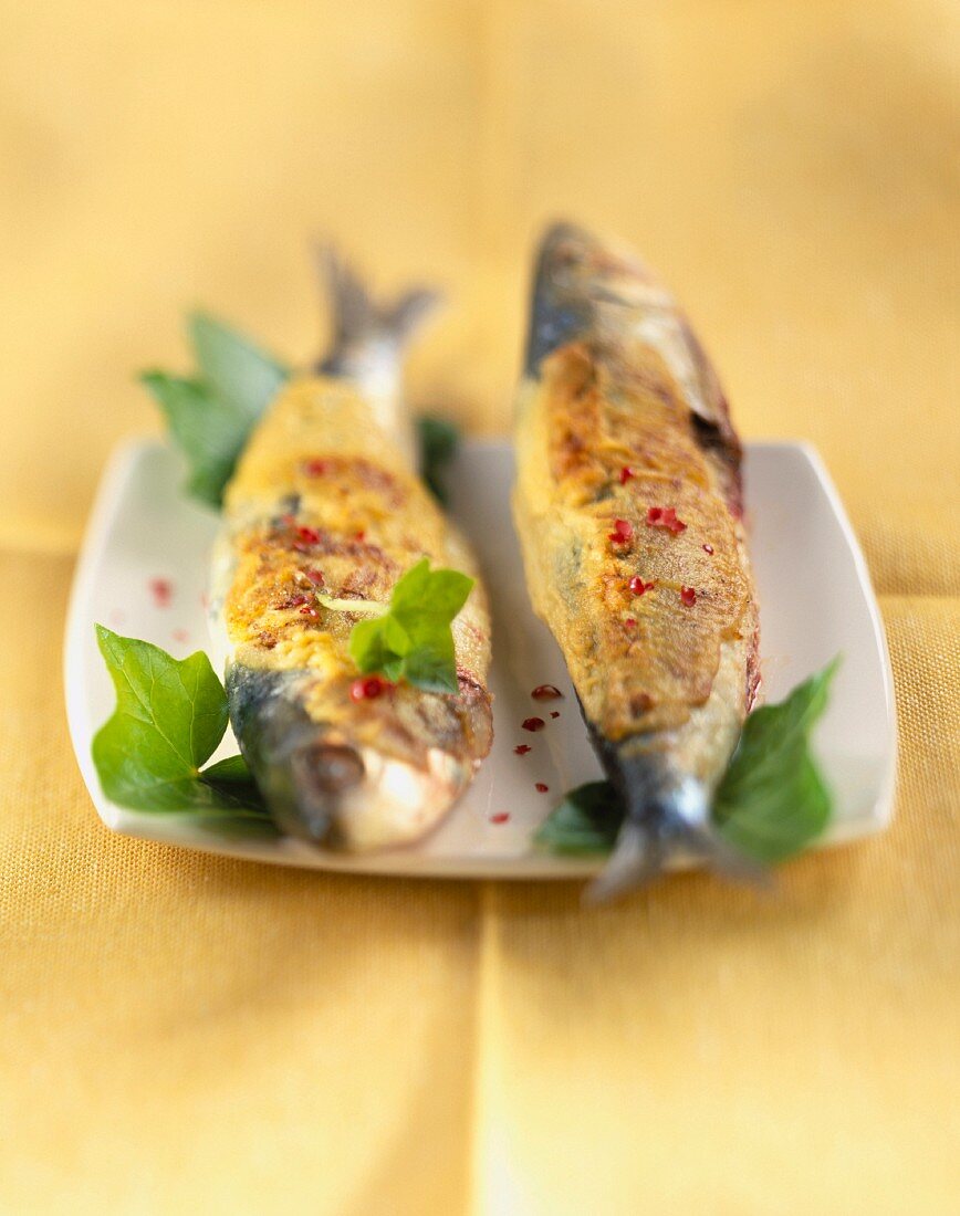 Sardines with mustard