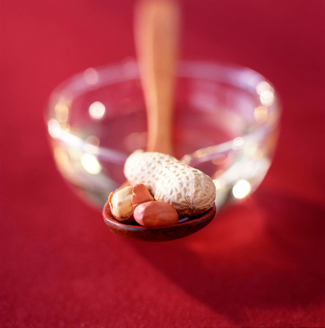 Erdnüsse auf einem Löffel vor rotem Hintergrund
