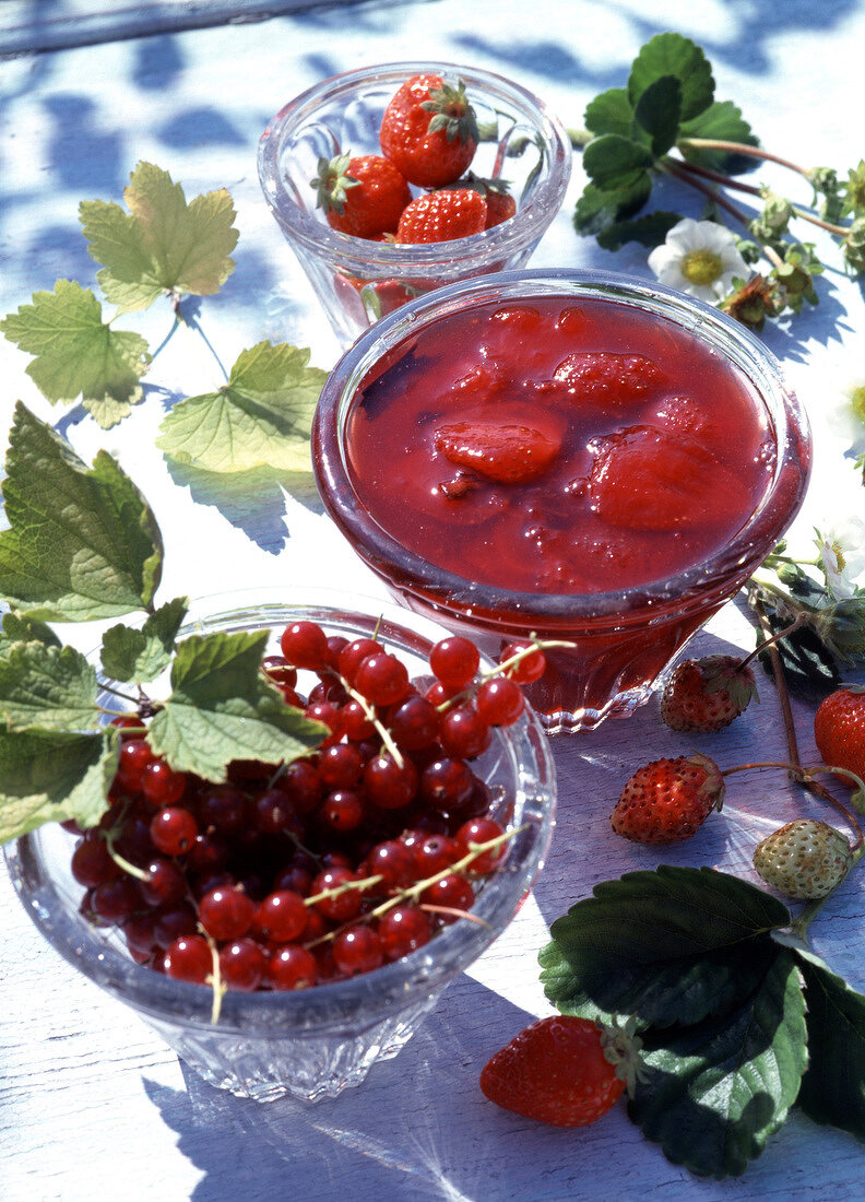 Stillleben mit roten Johannisbeeren und Erdbeermarmelade