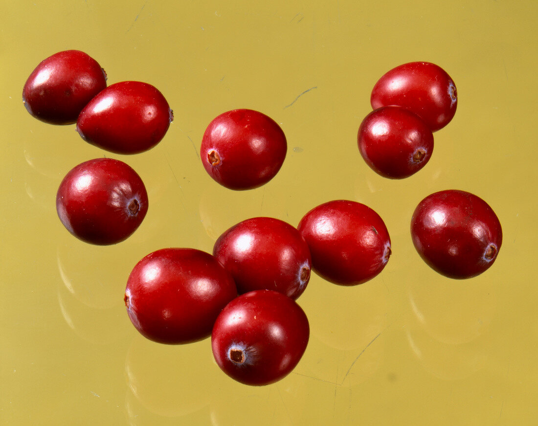 Cranberries auf ockerfarbenem Untergrund