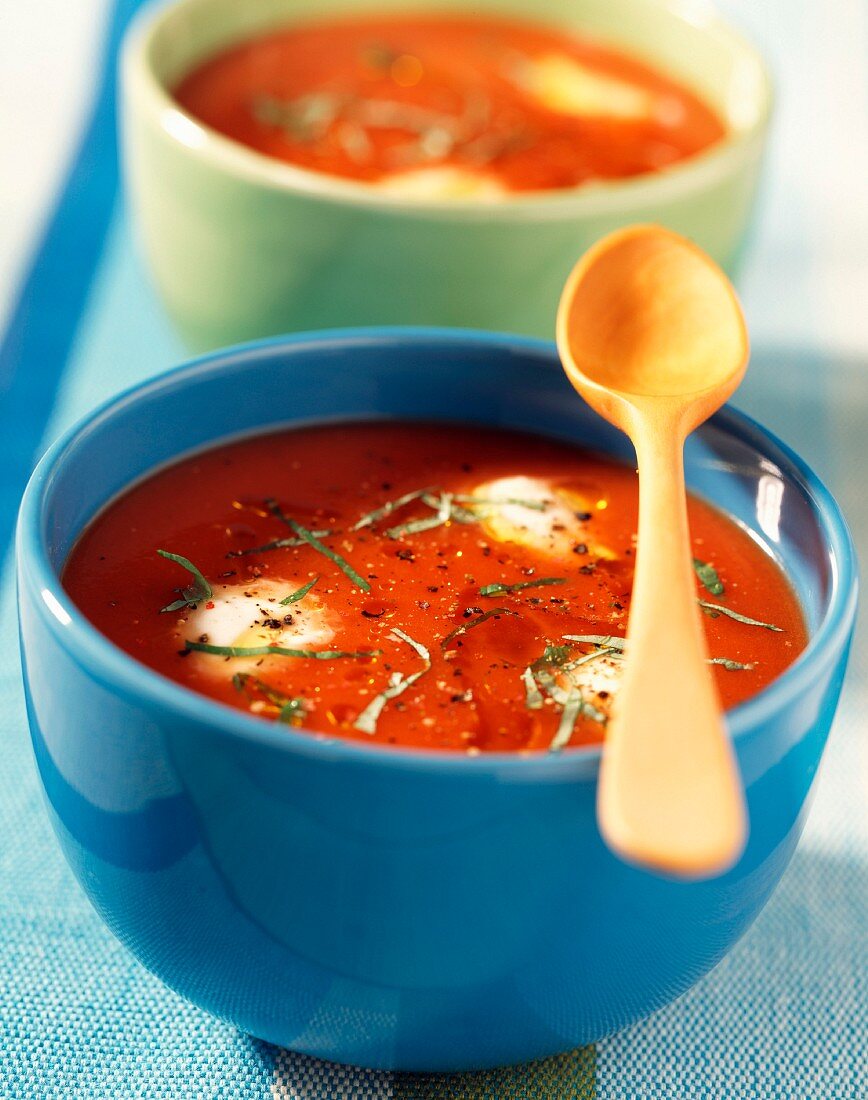 Creamed tomato soup with green pepper and Mozzarella (topic : south tomatoes)