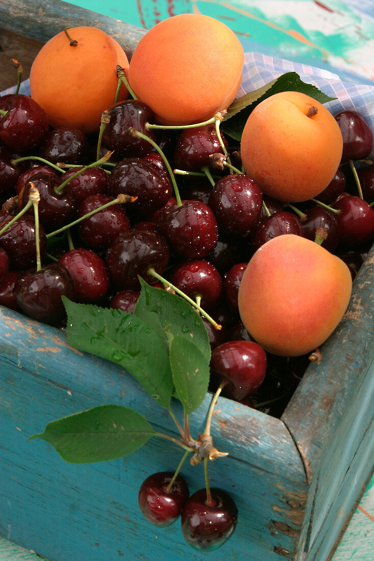 apricots and cherries