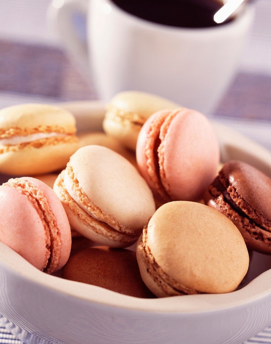 Macaroons (topic : winter fruits)