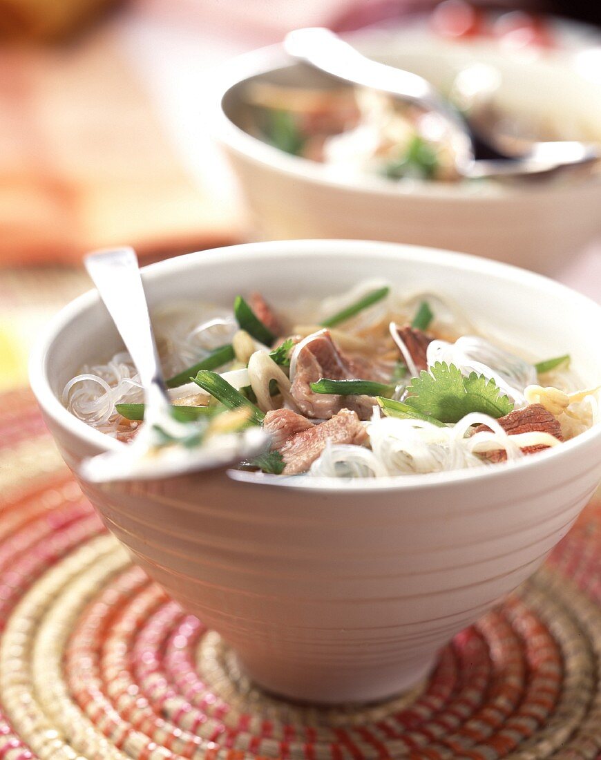 Chinesische Nudelsuppe mit Rindfleisch