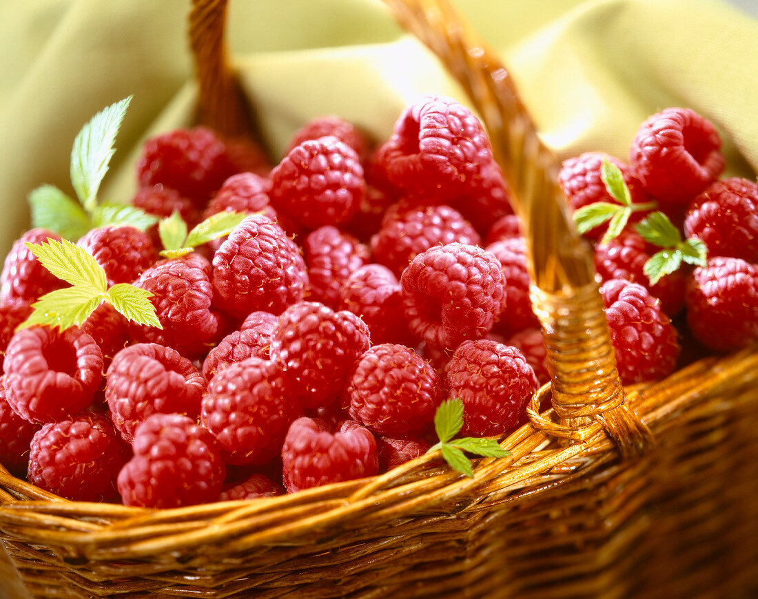 basket of raspberries