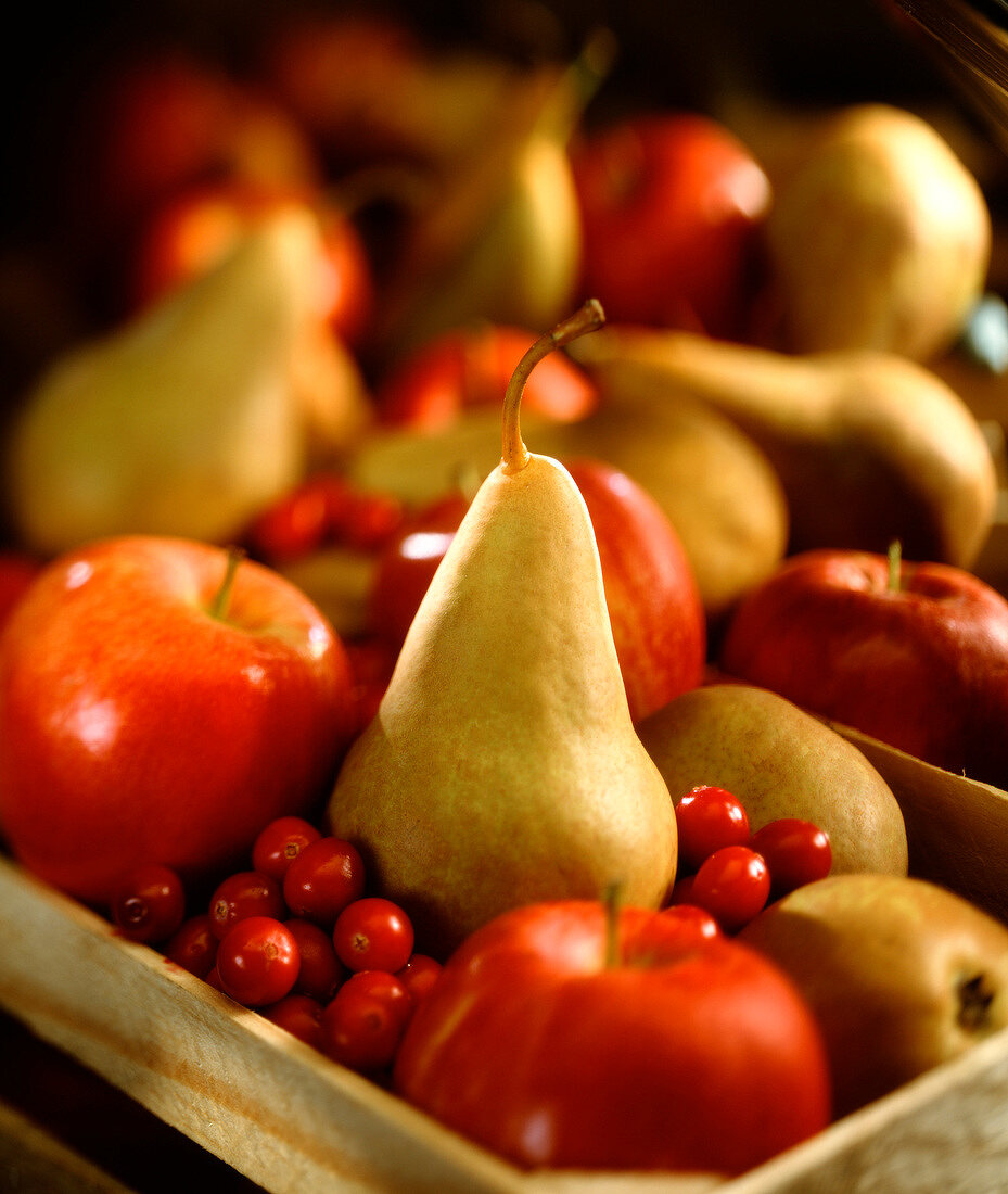 Äpfel, Birnen und Cranberries in Holzkiste
