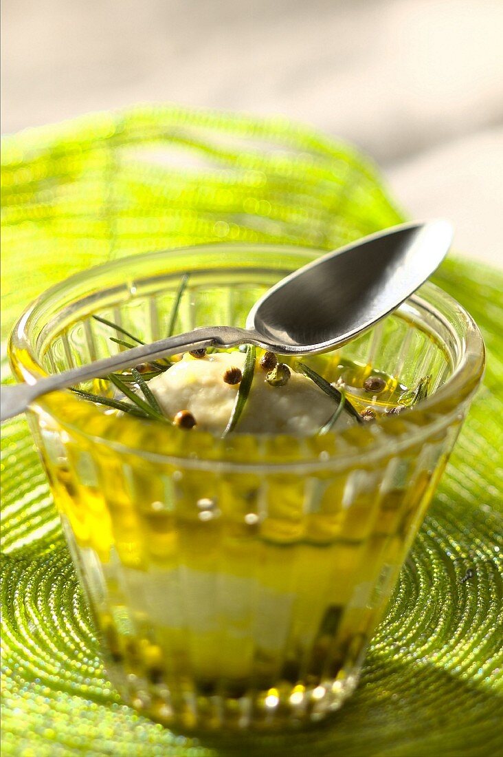 Ziegenkäse in Olivenöl mit Kräutern der Provence