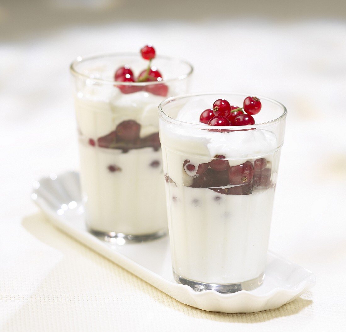 Fromage Blanc mit roten Johannisbeeren