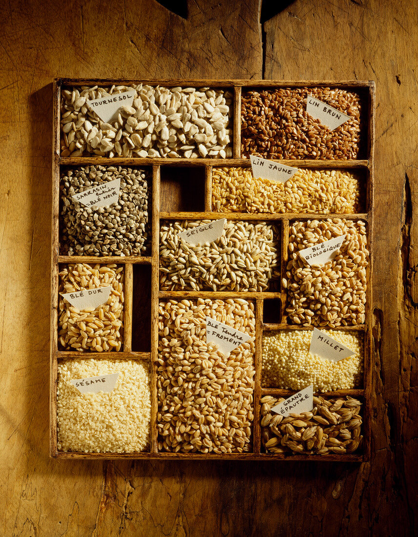 Beschriftete Getreidekörner und Samen in einem Holz-Setzkasten