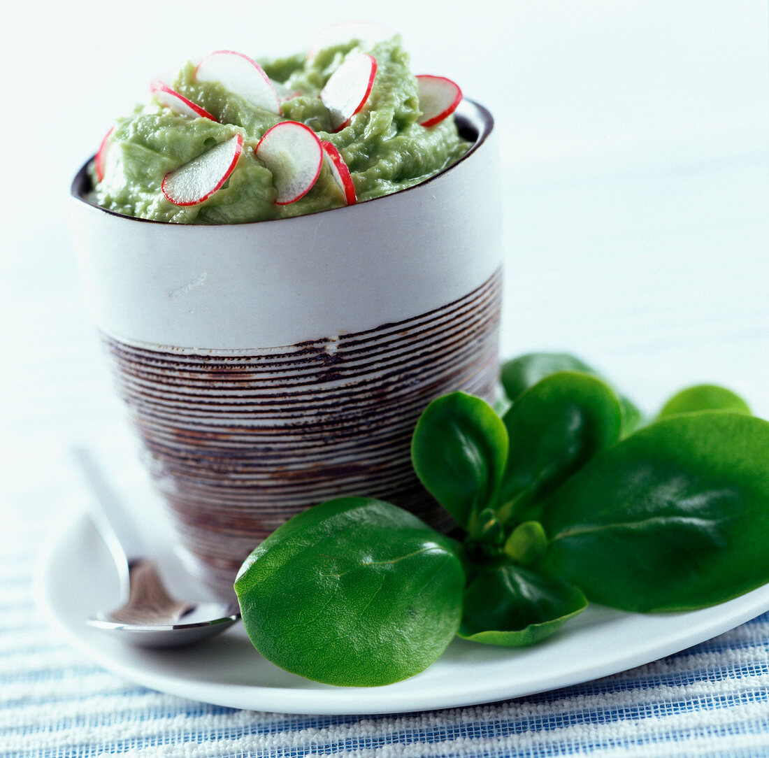 Creamed avocado with radish