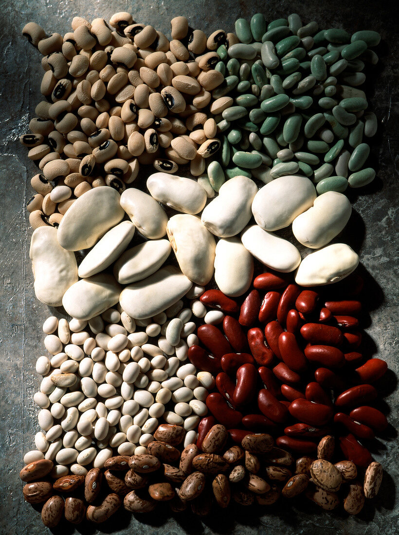Selection of dry shell beans