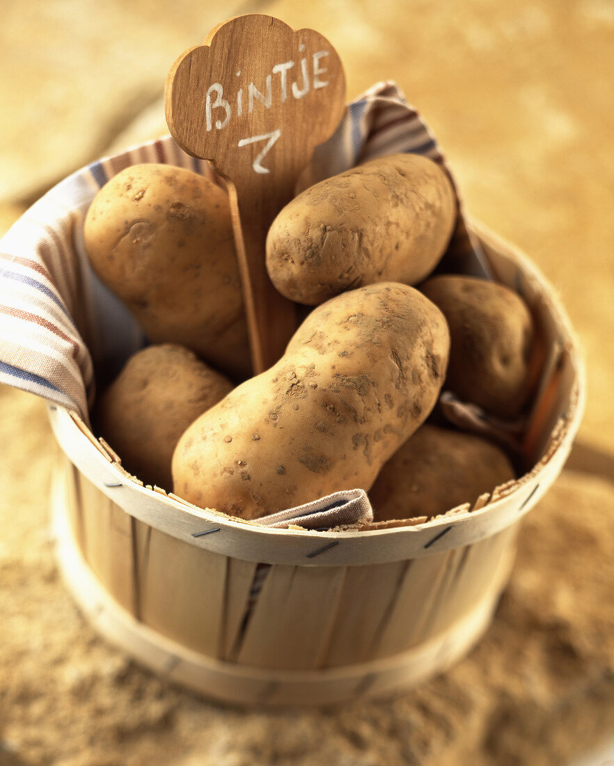 Kartoffeln der Sorte Bintje in einem Holzkorb