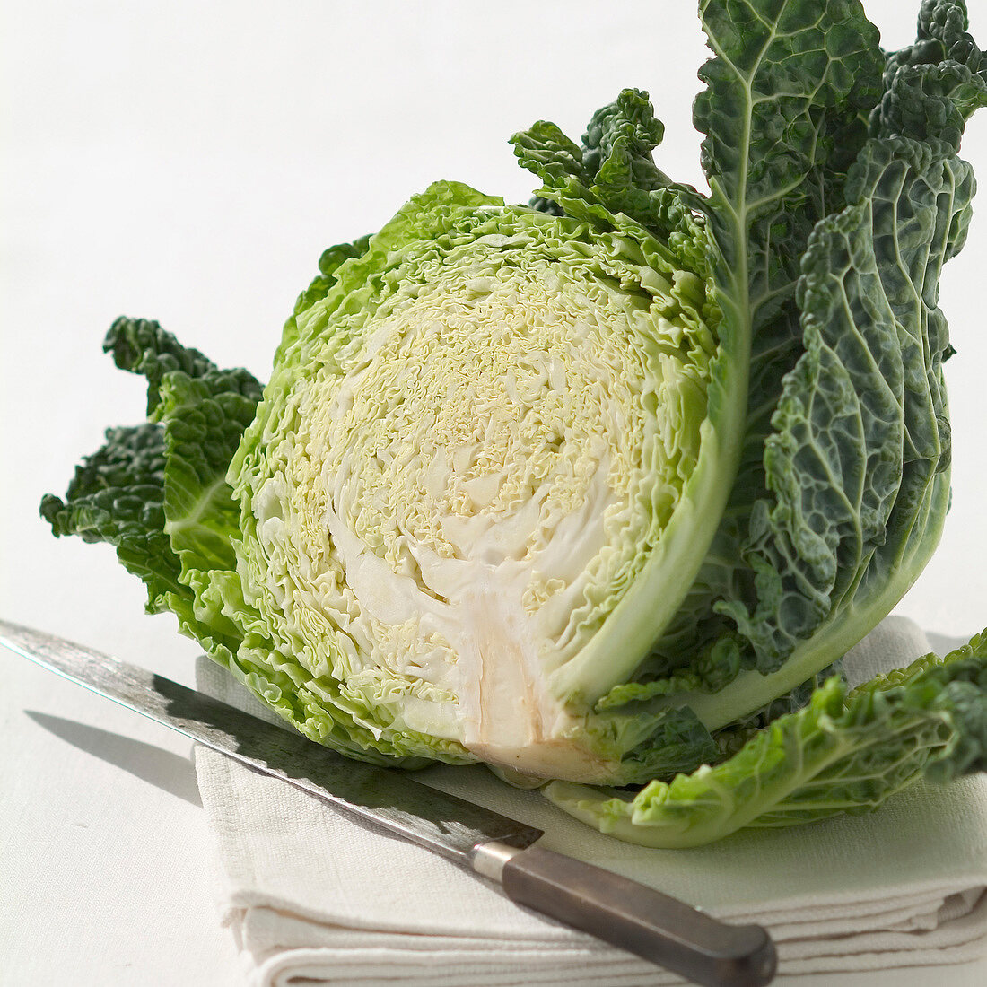 Sliced green cabbage