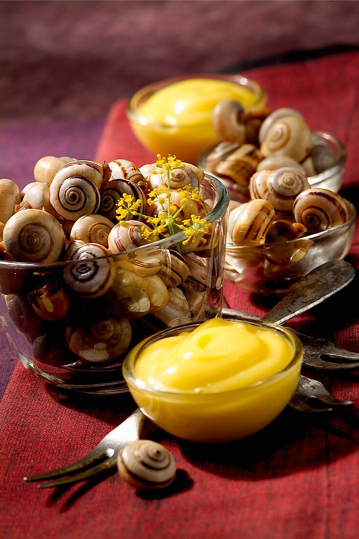 aioli garlic snails (topic: Provence)