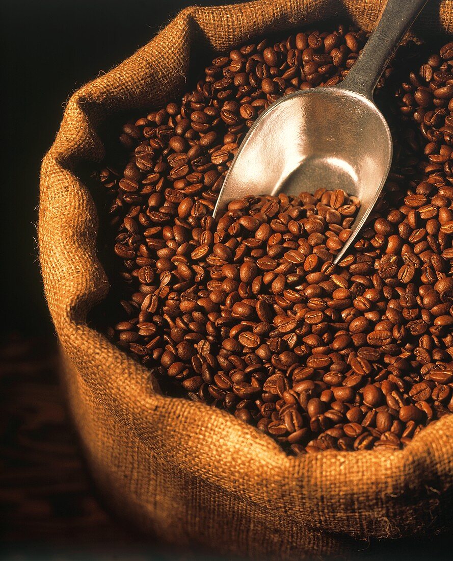 Offener Sack Kaffeebohnen mit Schaufel