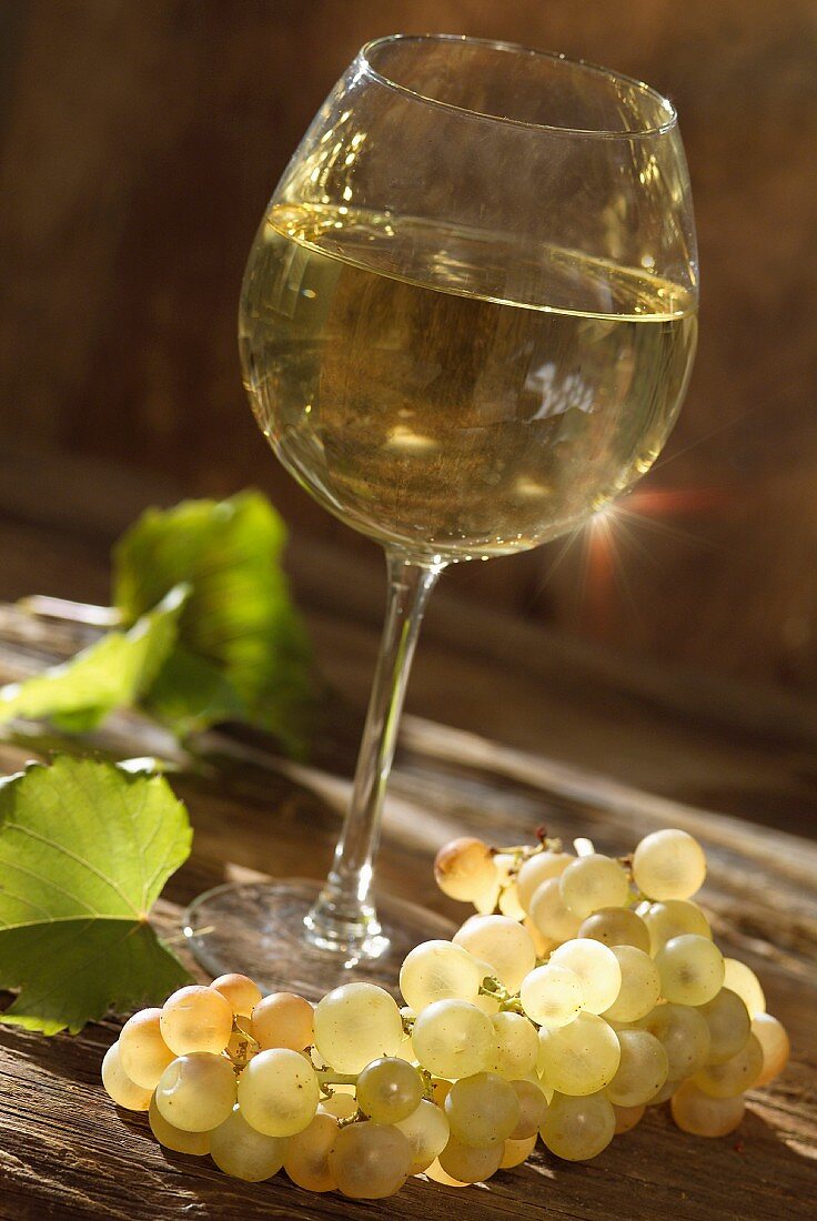 Ein Glas weisser Burgunder und weiße Weintrauben