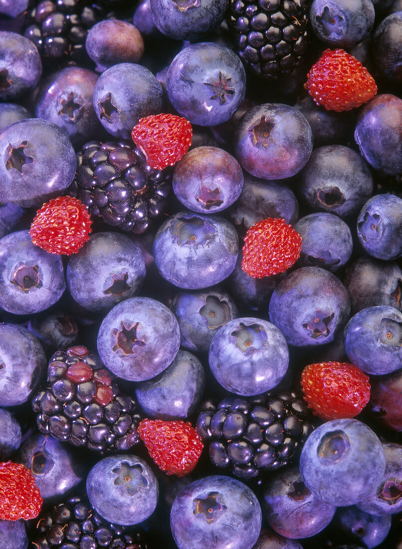 Heidelbeeren, Brombeeren und Walderdbeeren