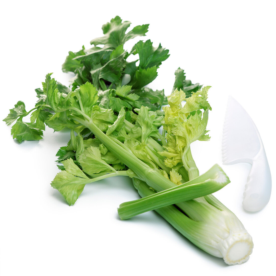 Fresh celery