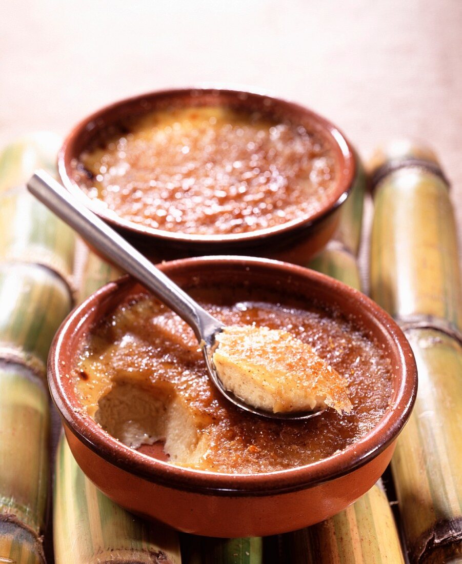 Zwei Schälchen Creme Brulée mit Kokosnuss