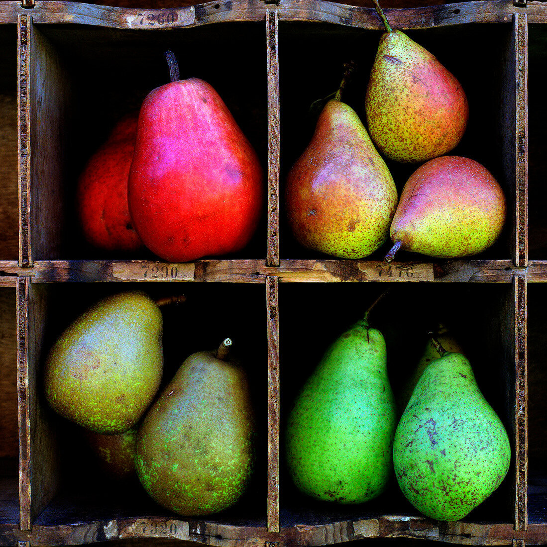 Selection of pears