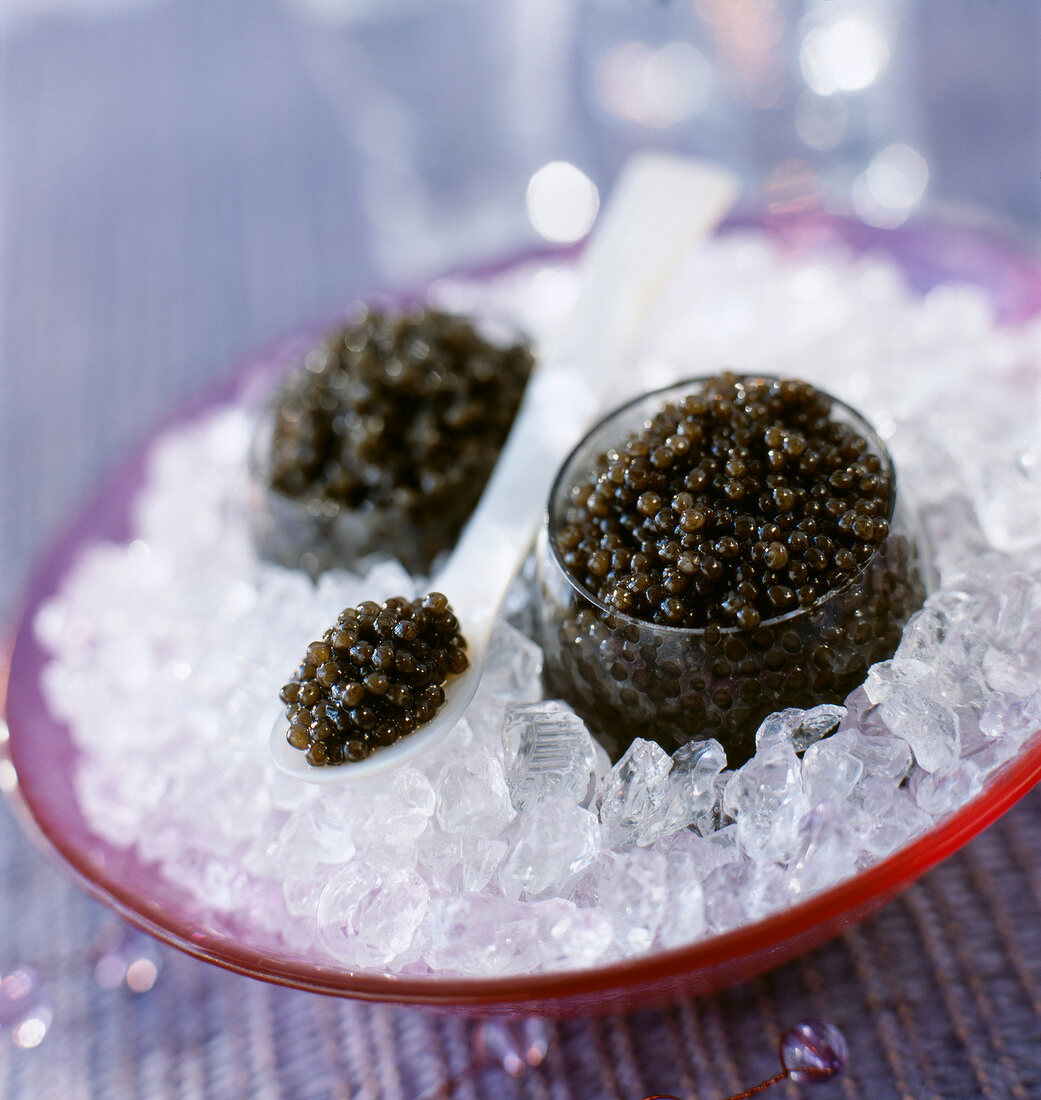 Caviar on ice