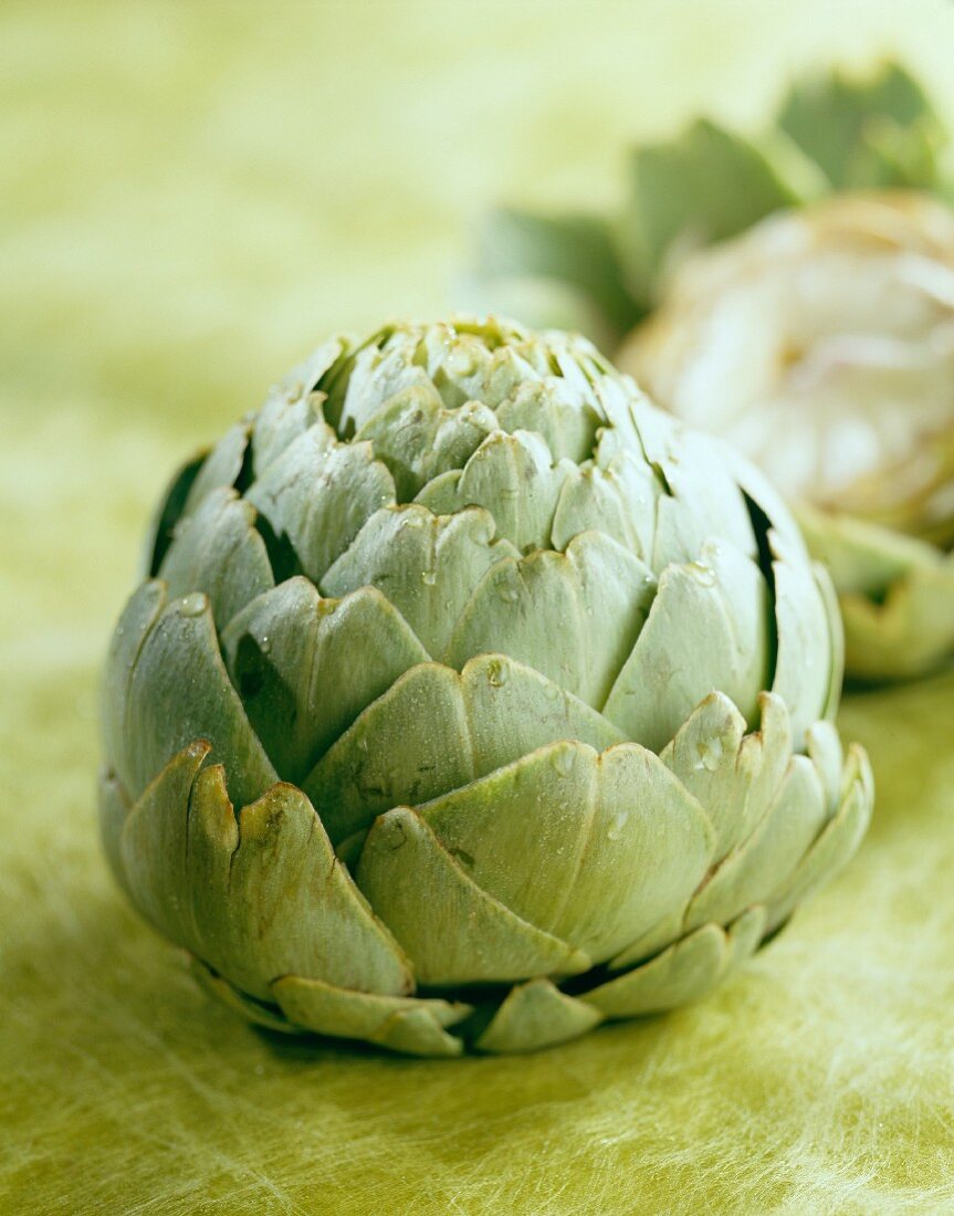 Macau artichoke