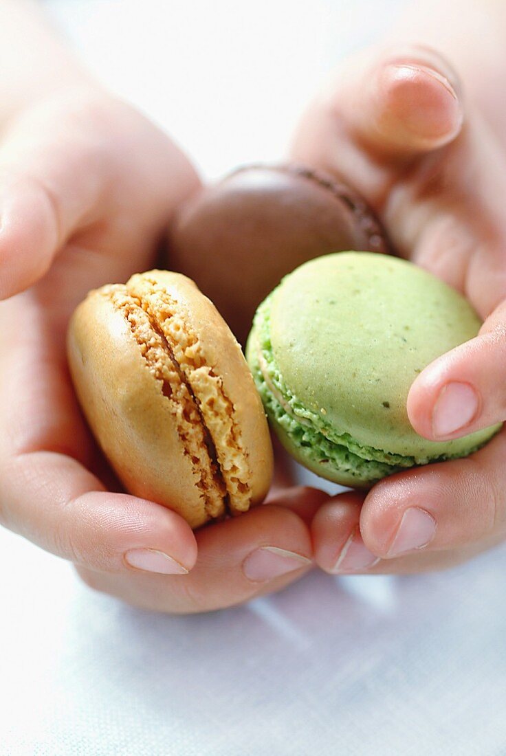 Hands holding macaroons