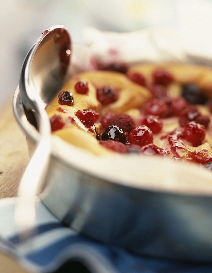 Käsekuchen mit Brousse-Frischkäse und Waldfrüchten