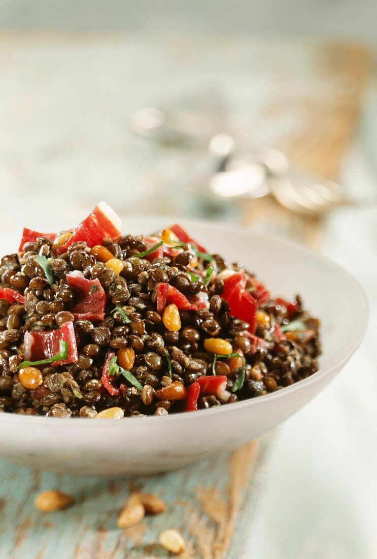 Lentil and sliced dried magret salad