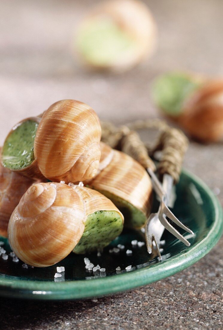 Weinbergschnecken mit Kräuterbutter