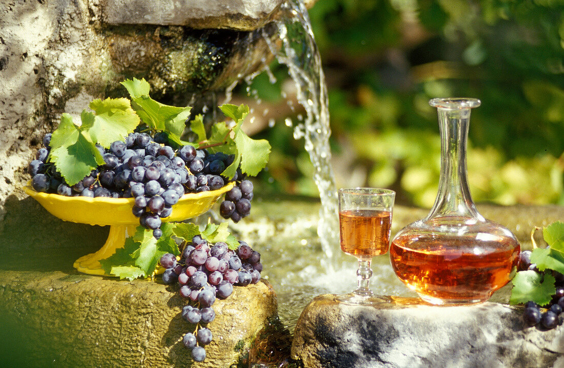 Roséwein in Glas und Karaffe mit Weintrauben vor Brunnen