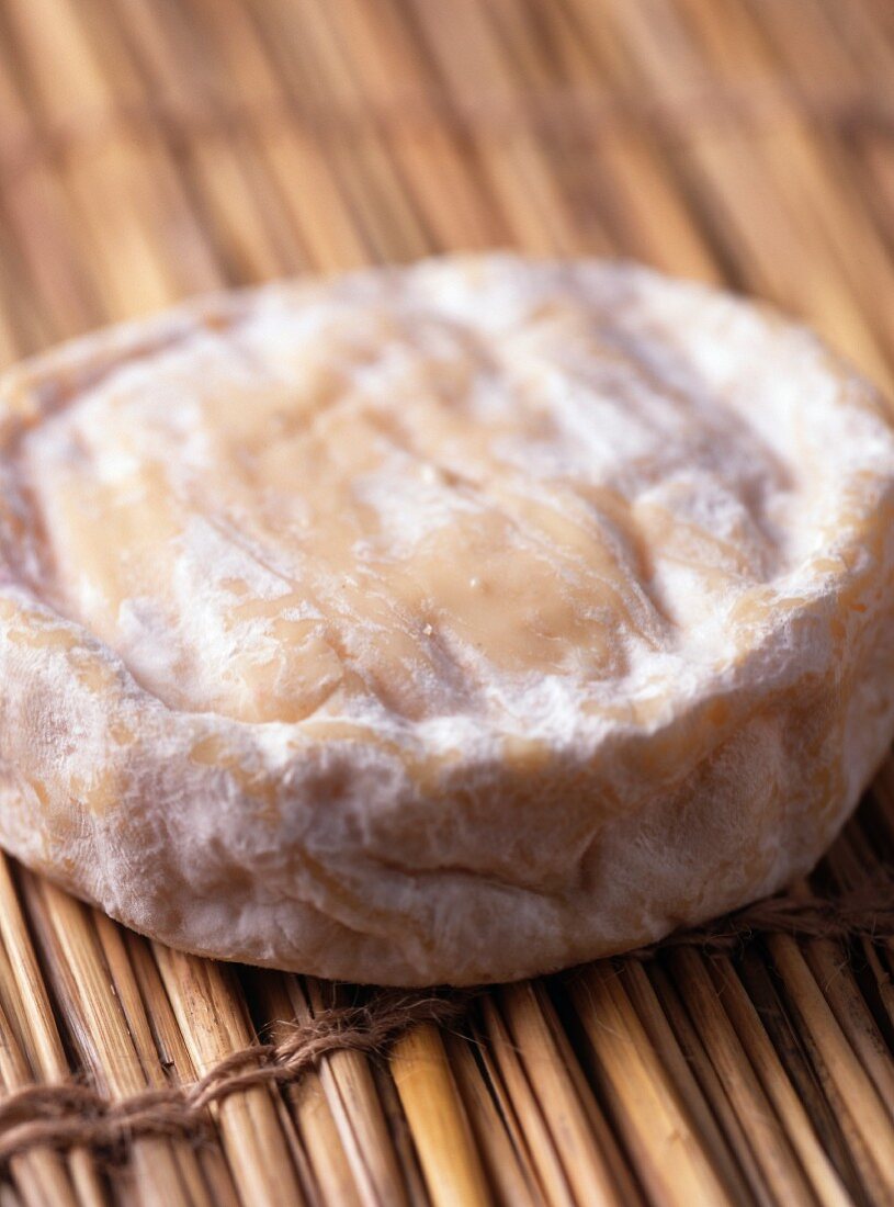 Ganzer Saint-Marcellin (Cremiger Weichkäse) auf einer Strohmatte