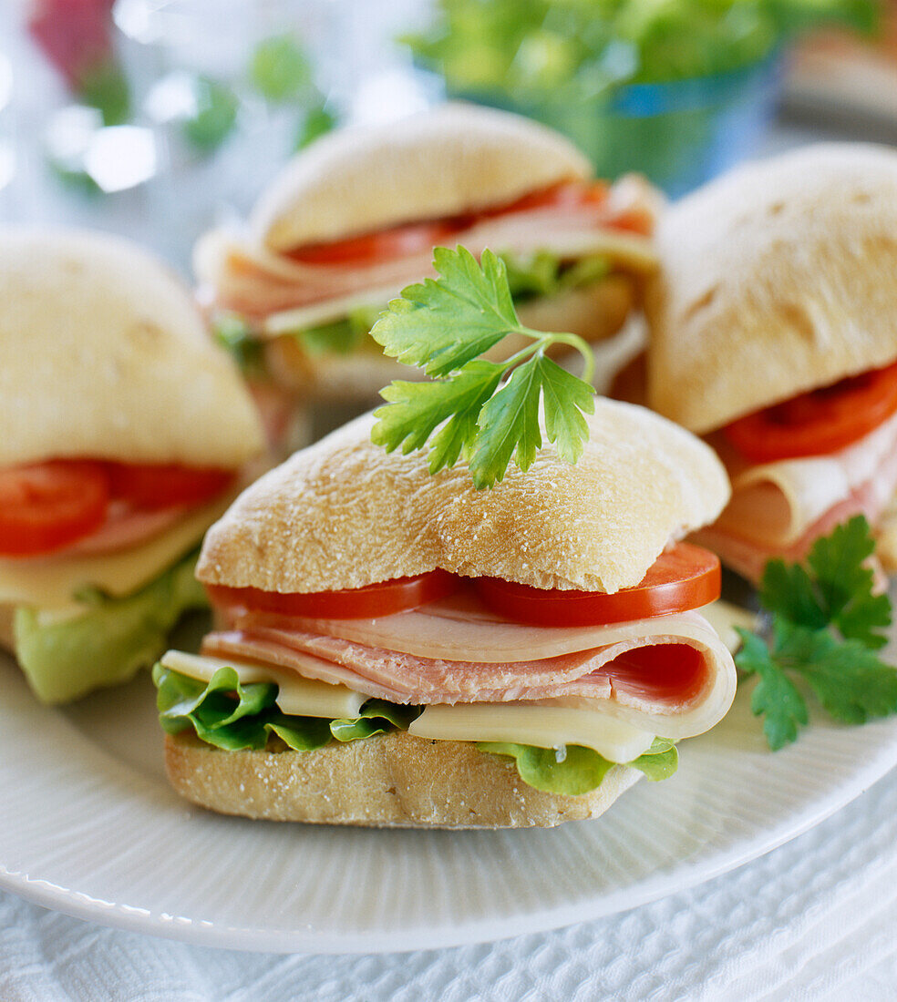 Schinken-Käse-Sandwiches mit Tomaten und Blattsalat