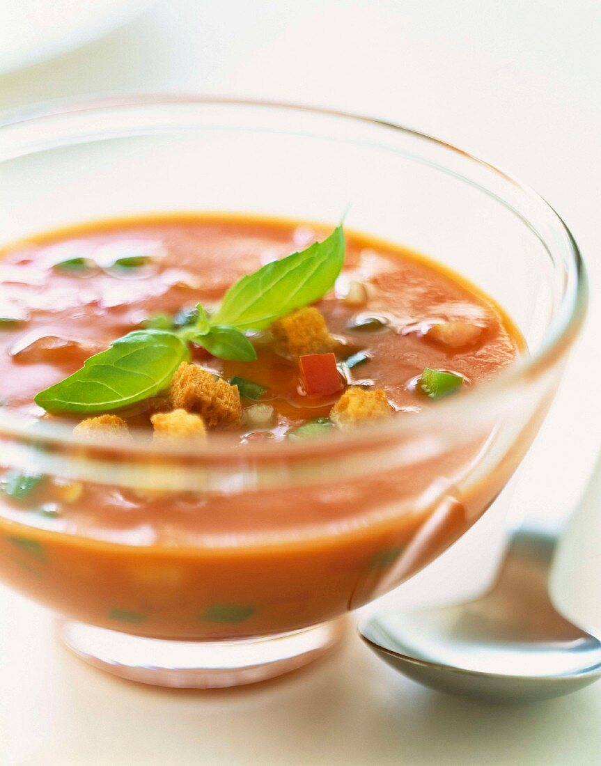 Gazpacho (kalte Tomaten-Paprika-Suppe aus Spanien)